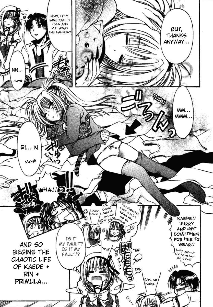 Page 26 Chapter 3 Shuffle! - Days in the Bloom