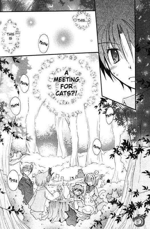 Page 15 Chapter 3 Boku x Neko?