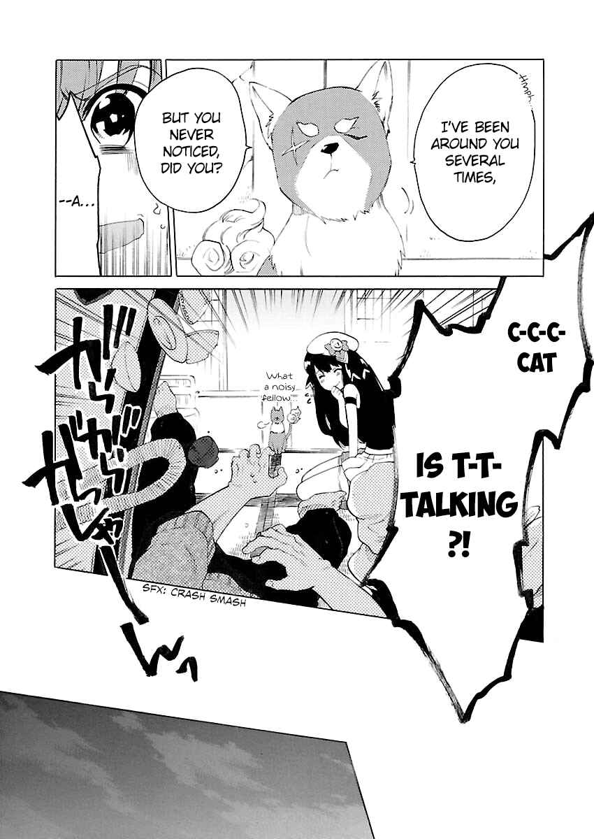 Page 11 Chapter 3 Cross x Regalia