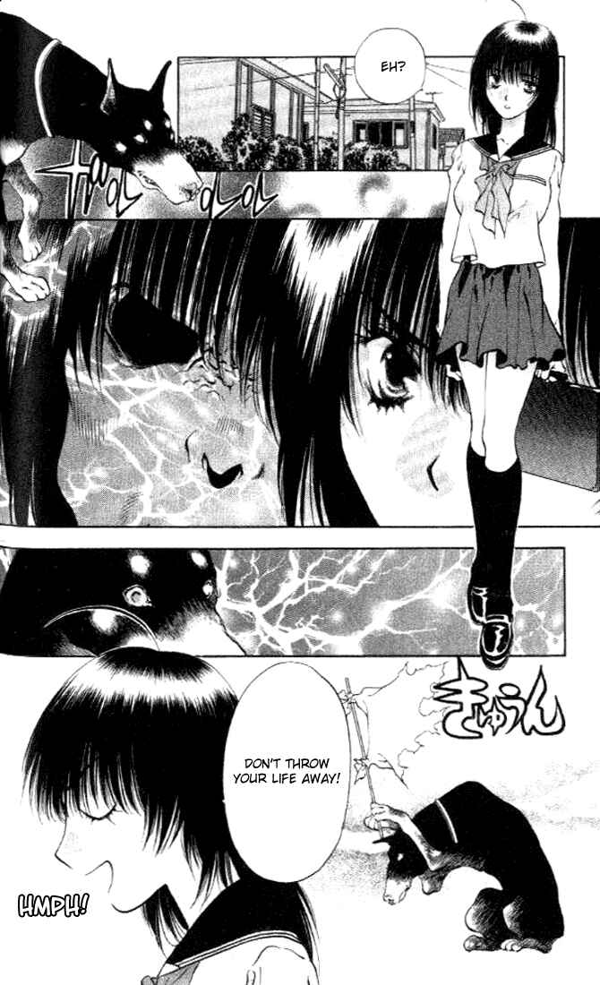 Page 18 Chapter 3 Girls Saurus DX