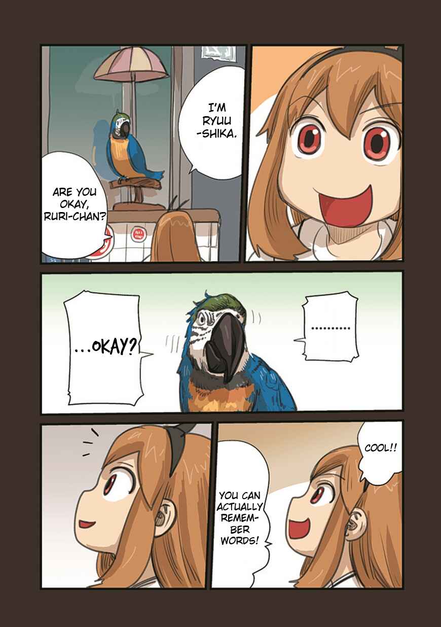 Page 3 Chapter 55.1 Ryushika Ryushika