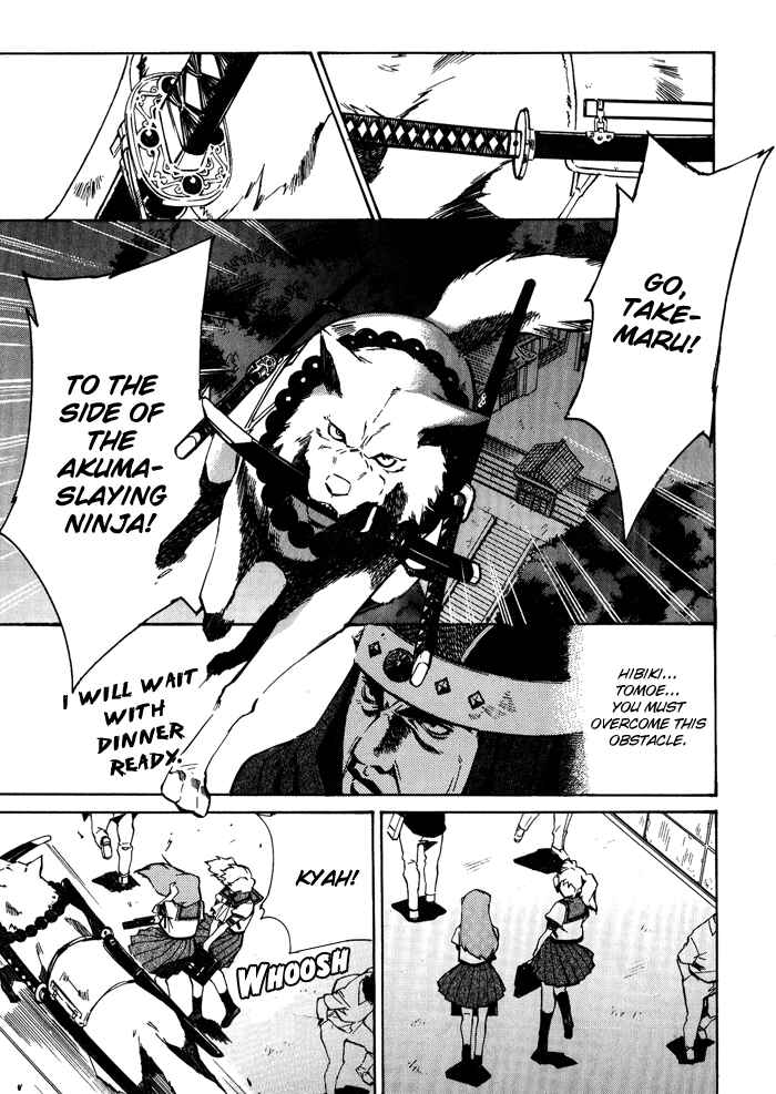 Page 27 Chapter 2 BLAZE