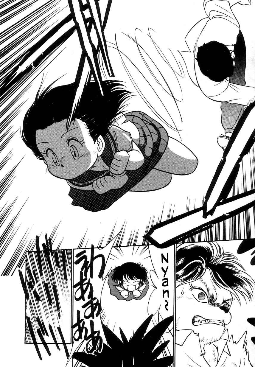 Page 16 Chapter 10 Its a Cat, Its a Cat