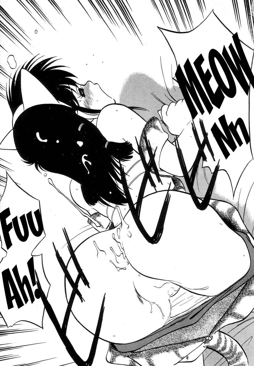 Page 19 Chapter 11 Its a Cat, Its a Cat