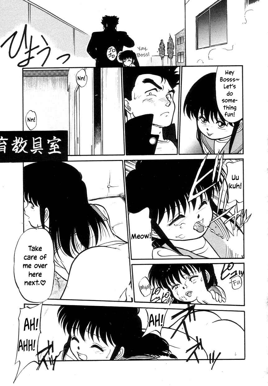 Page 17 Chapter 3 Its a Cat, Its a Cat