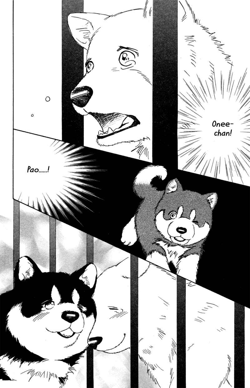 Page 12 Chapter 5 Deep Love - Pao no Monogatari
