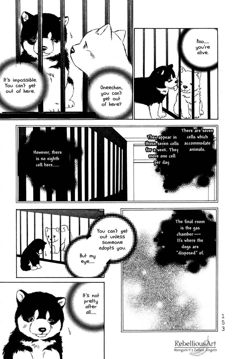 Page 13 Chapter 5 Deep Love - Pao no Monogatari