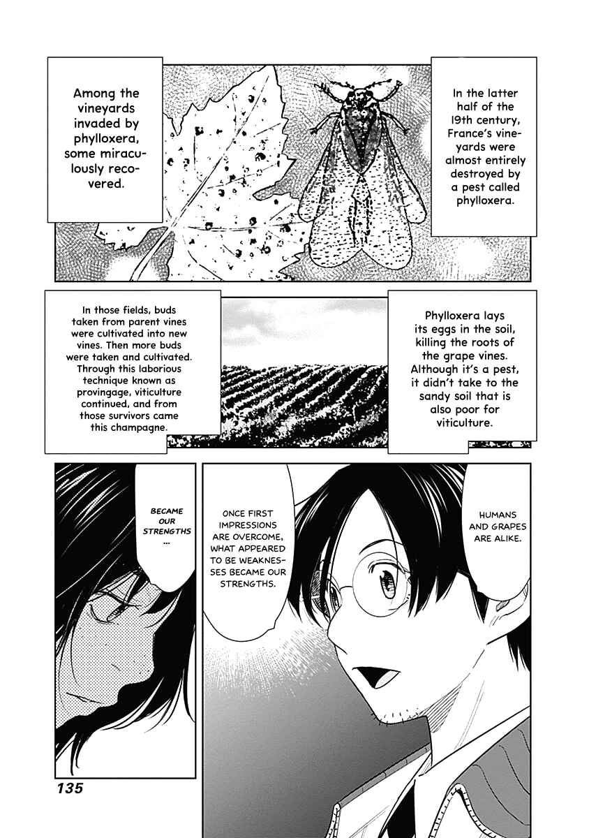 Page 17 Chapter 13 Champagne