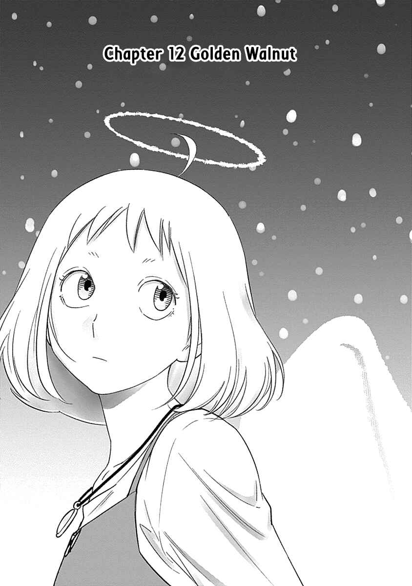 Page 6 Chapter 12 Champagne