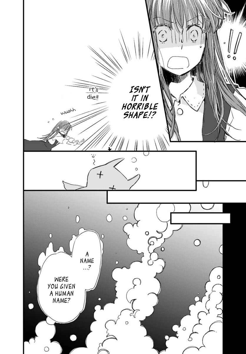 Page 2 Chapter 15.2 Fukushuu wo Chikatta Shironeko wa Ryuuou no Hiza no Ue de Damin wo Musaboru