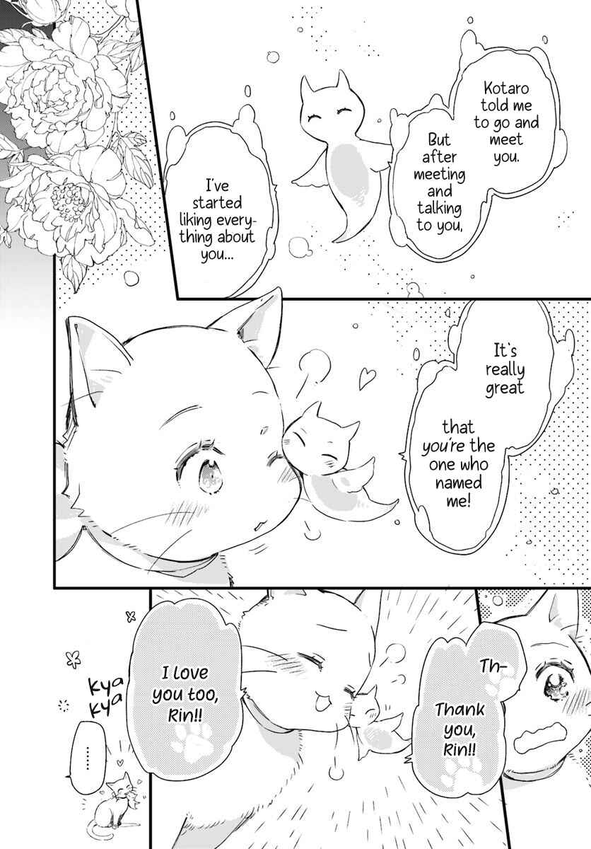 Page 3 Chapter 15.4 Fukushuu wo Chikatta Shironeko wa Ryuuou no Hiza no Ue de Damin wo Musaboru