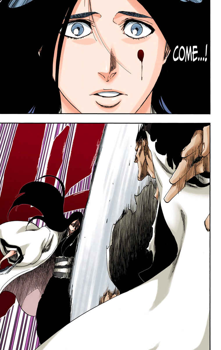 Page 19 Chapter 525 Bleach (Official Colored)