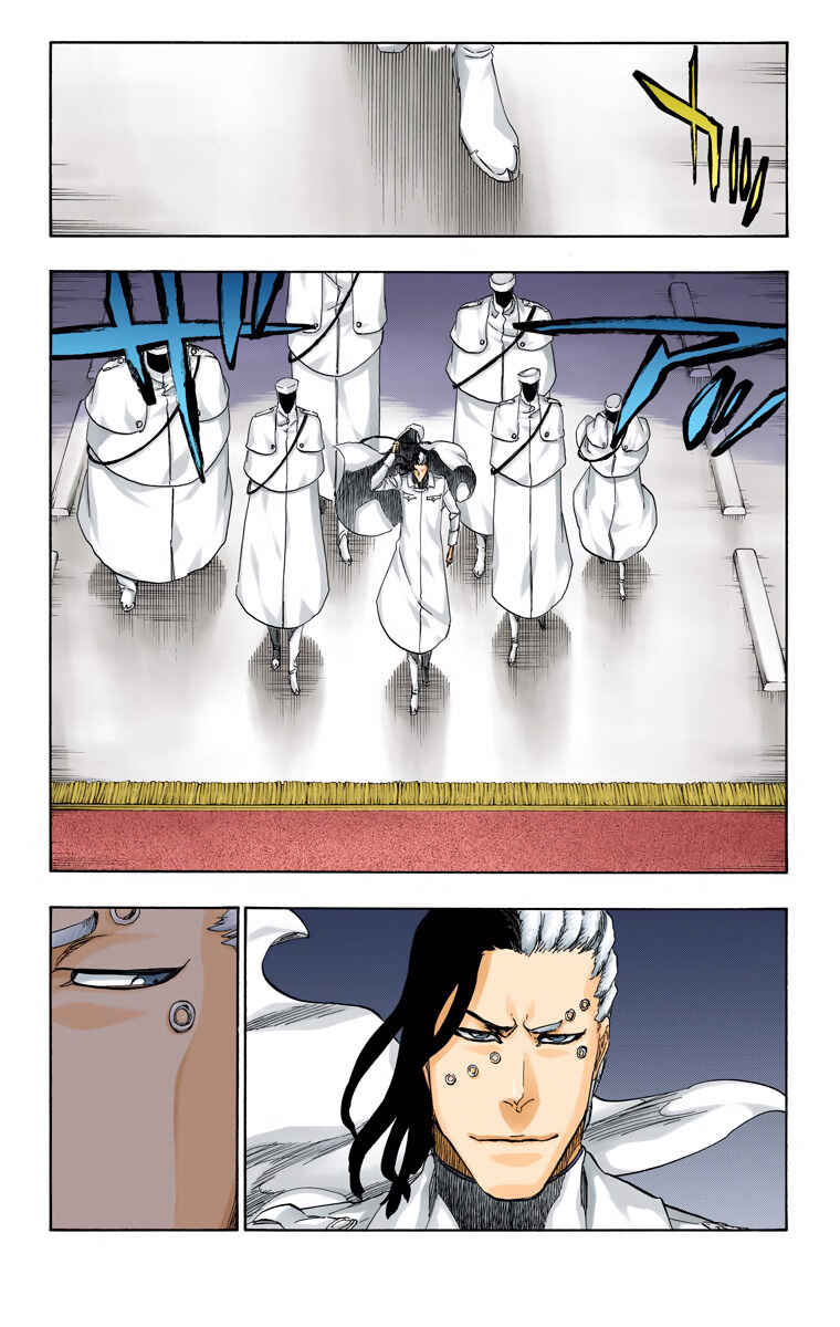 Page 14 Chapter 484 Bleach (Official Colored)