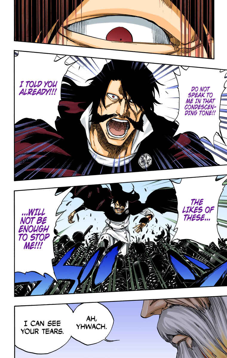 Page 13 Chapter 509 Bleach (Official Colored)