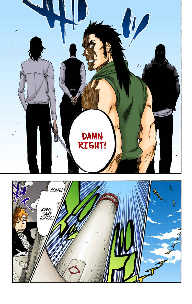 Page 17 Chapter 518 Bleach (Official Colored)