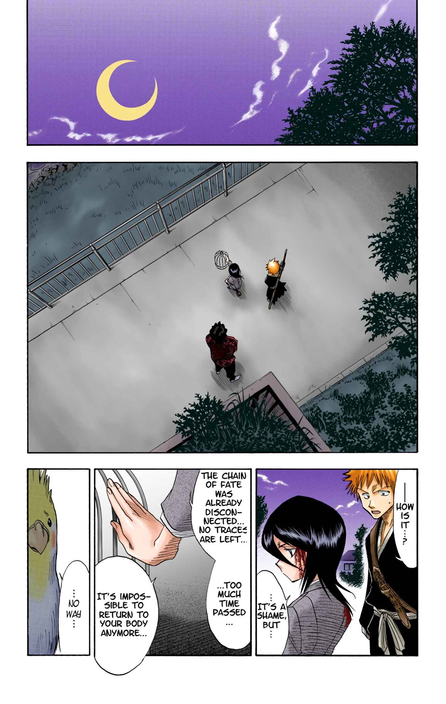 Page 13 Chapter 12 Bleach (Official Colored)