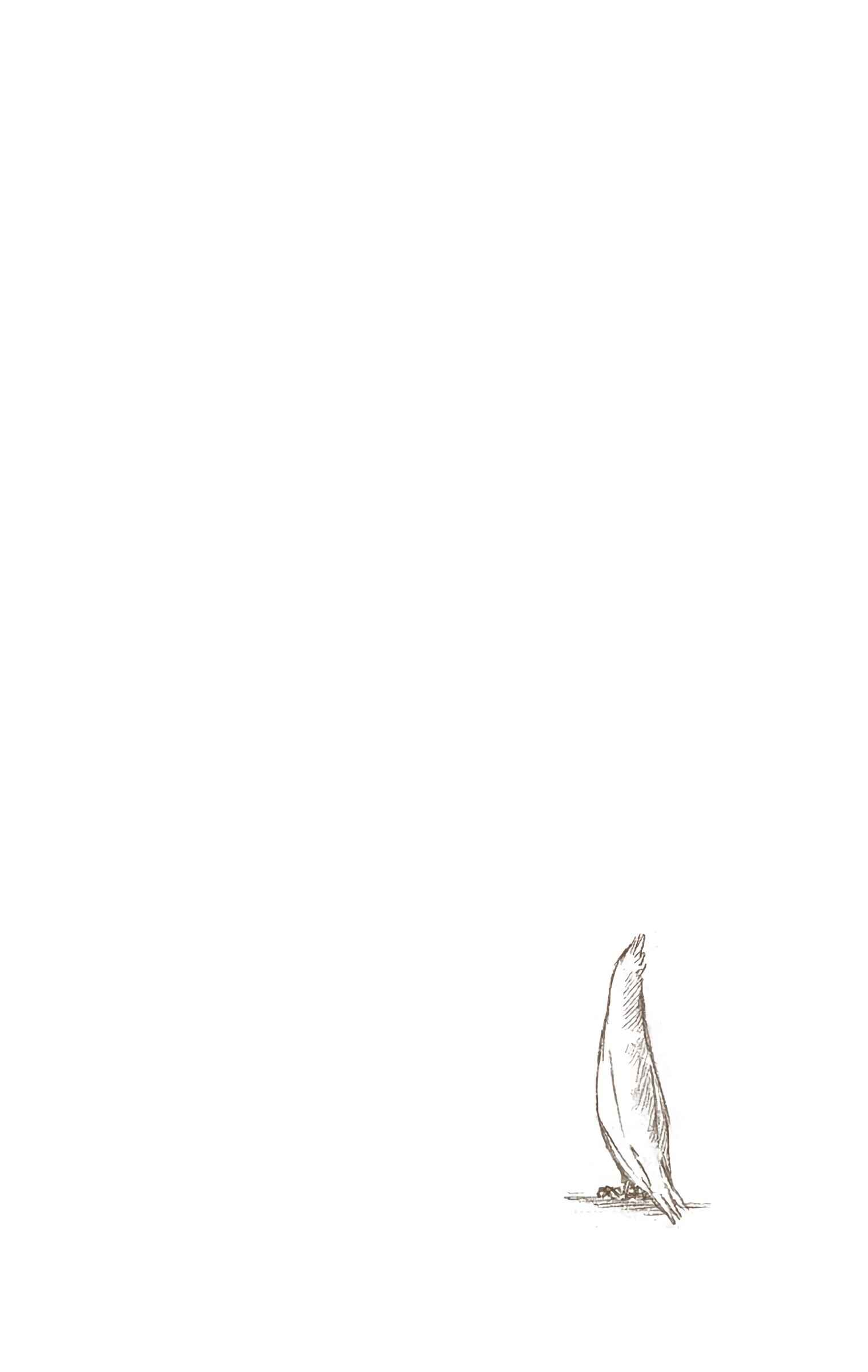 Page 19 Chapter 12 Bleach (Official Colored)