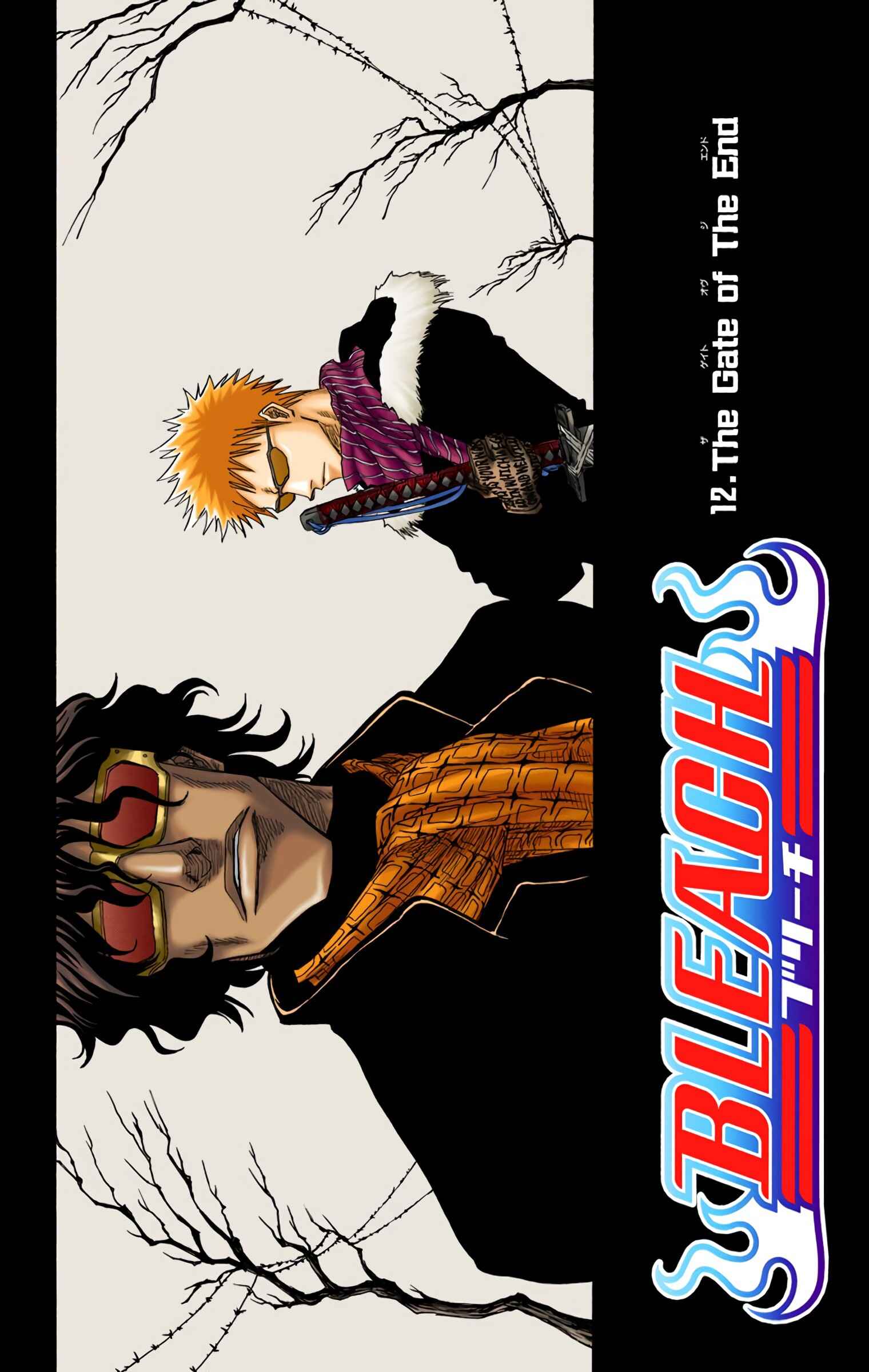 Page 3 Chapter 12 Bleach (Official Colored)