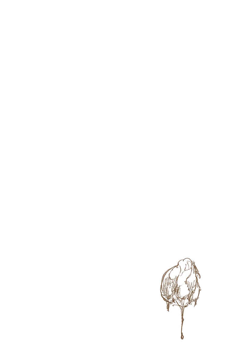 Page 17 Chapter 557 Bleach (Official Colored)