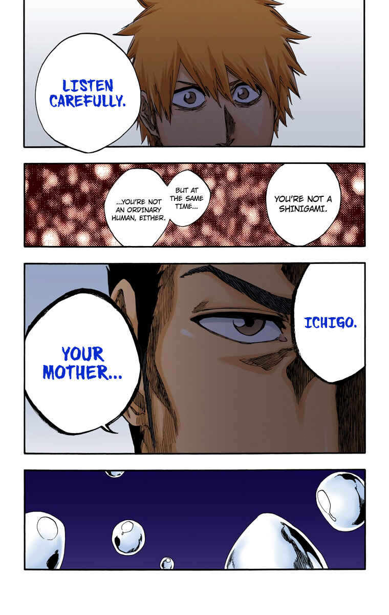 Page 17 Chapter 528 Bleach (Official Colored)
