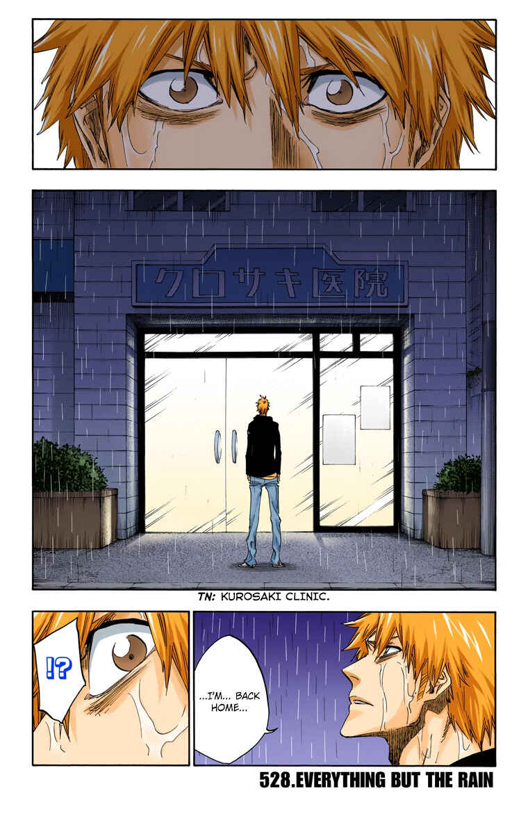 Page 3 Chapter 528 Bleach (Official Colored)