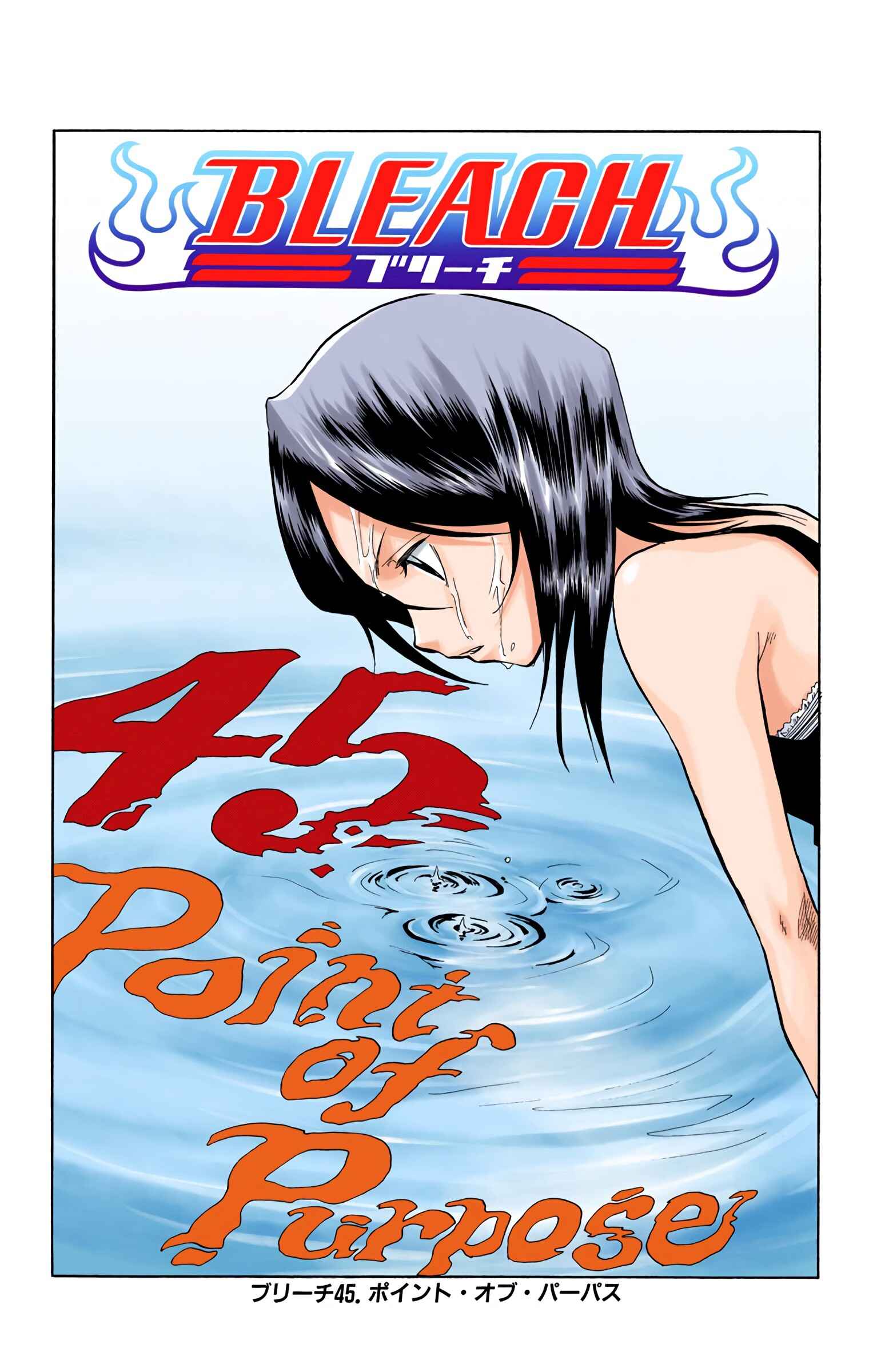 Page 5 Chapter 45 Bleach (Official Colored)