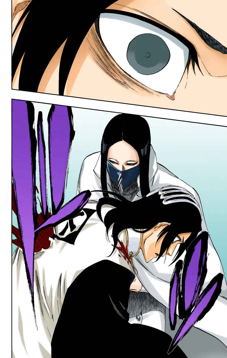 Page 14 Chapter 501 Bleach (Official Colored)