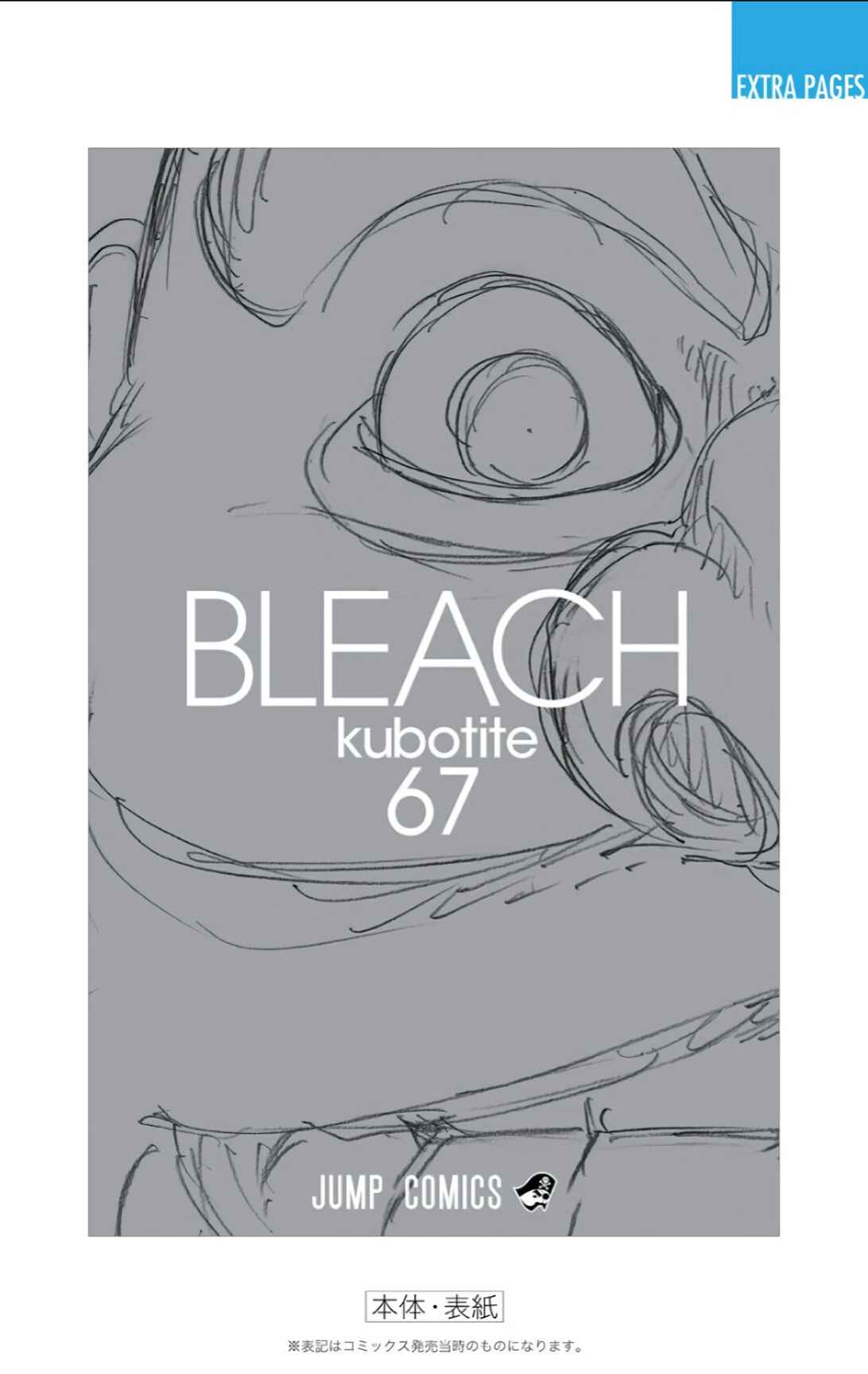 Page 21 Chapter 611 Bleach (Official Colored)