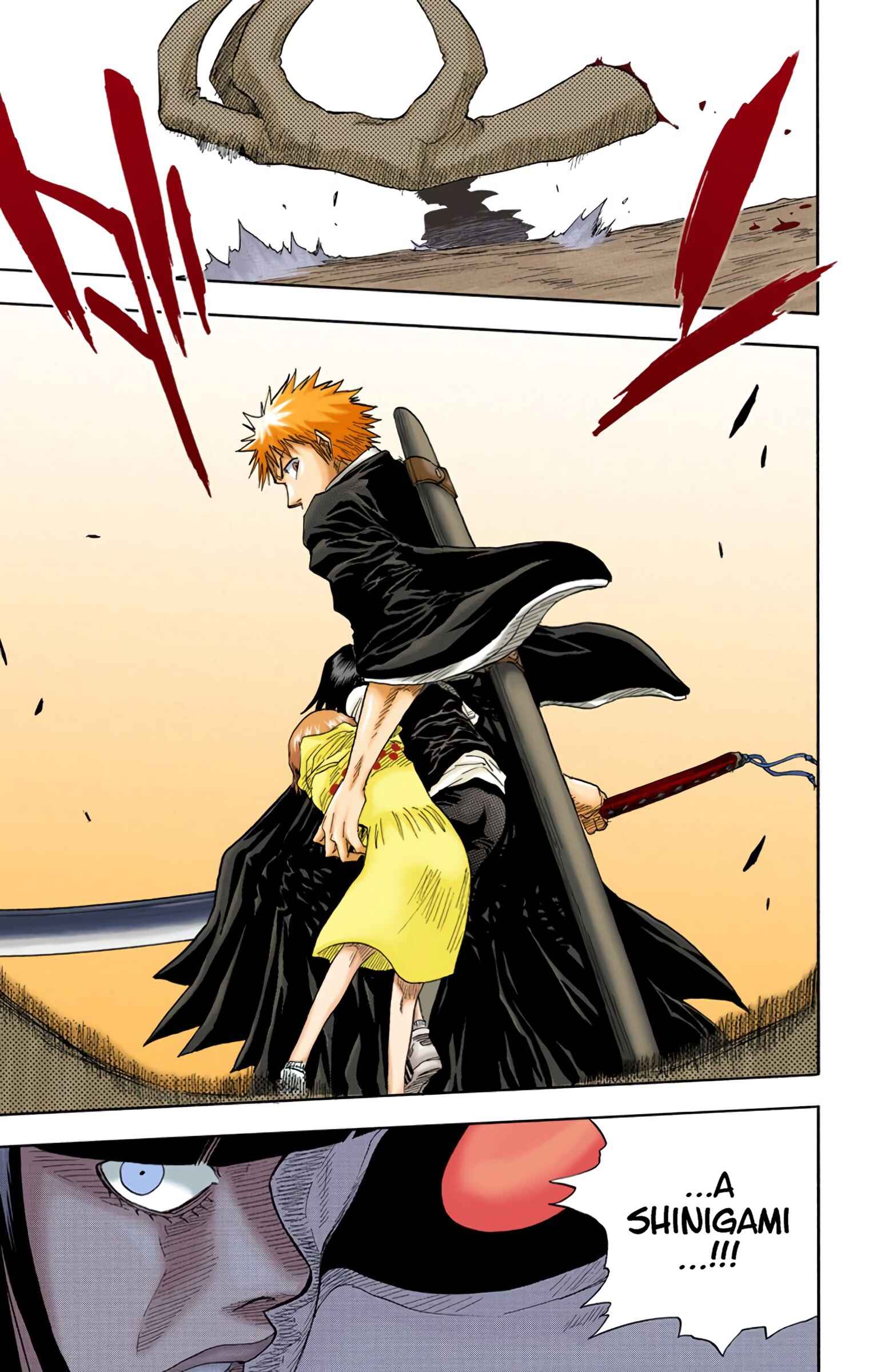 Page 21 Chapter 20 Bleach (Official Colored)