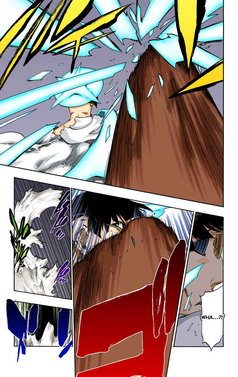 Page 17 Chapter 491 Bleach (Official Colored)