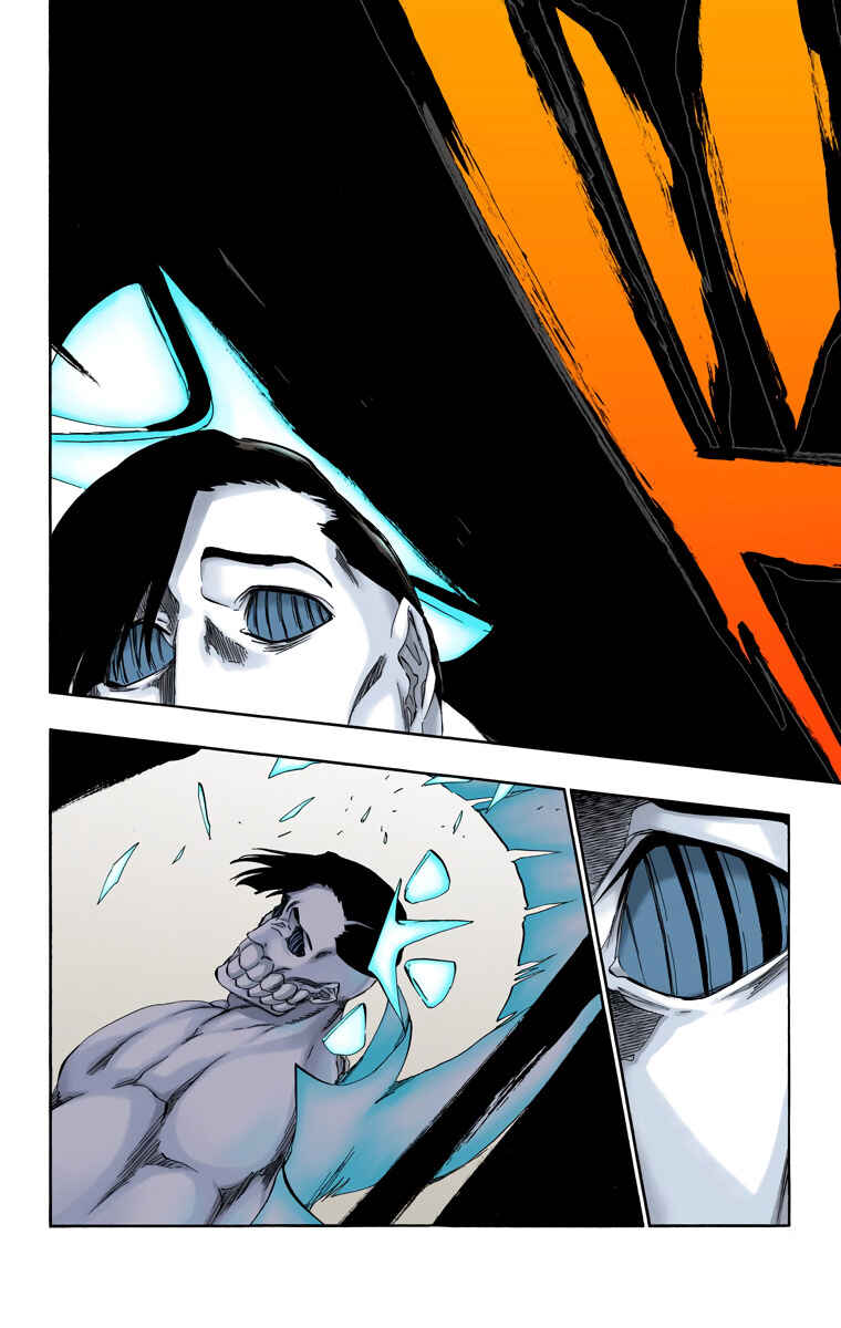 Page 14 Chapter 493 Bleach (Official Colored)