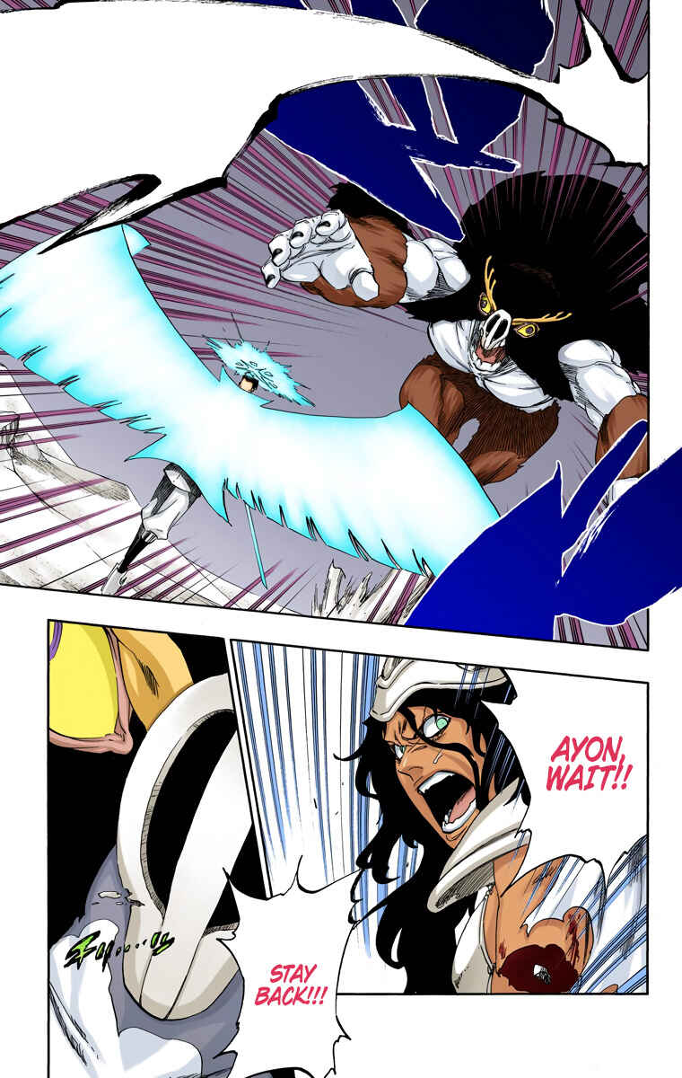 Page 5 Chapter 493 Bleach (Official Colored)