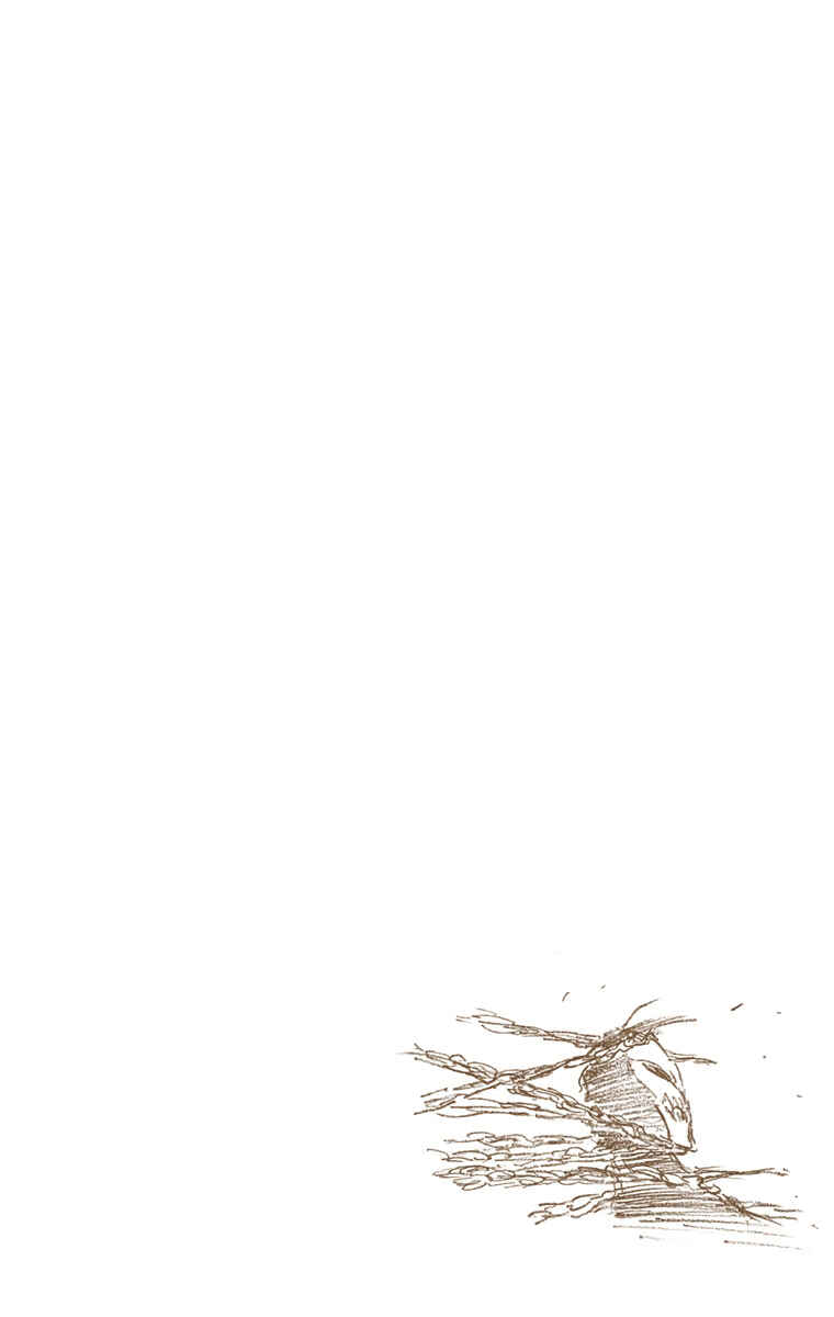 Page 18 Chapter 282 Bleach (Official Colored)