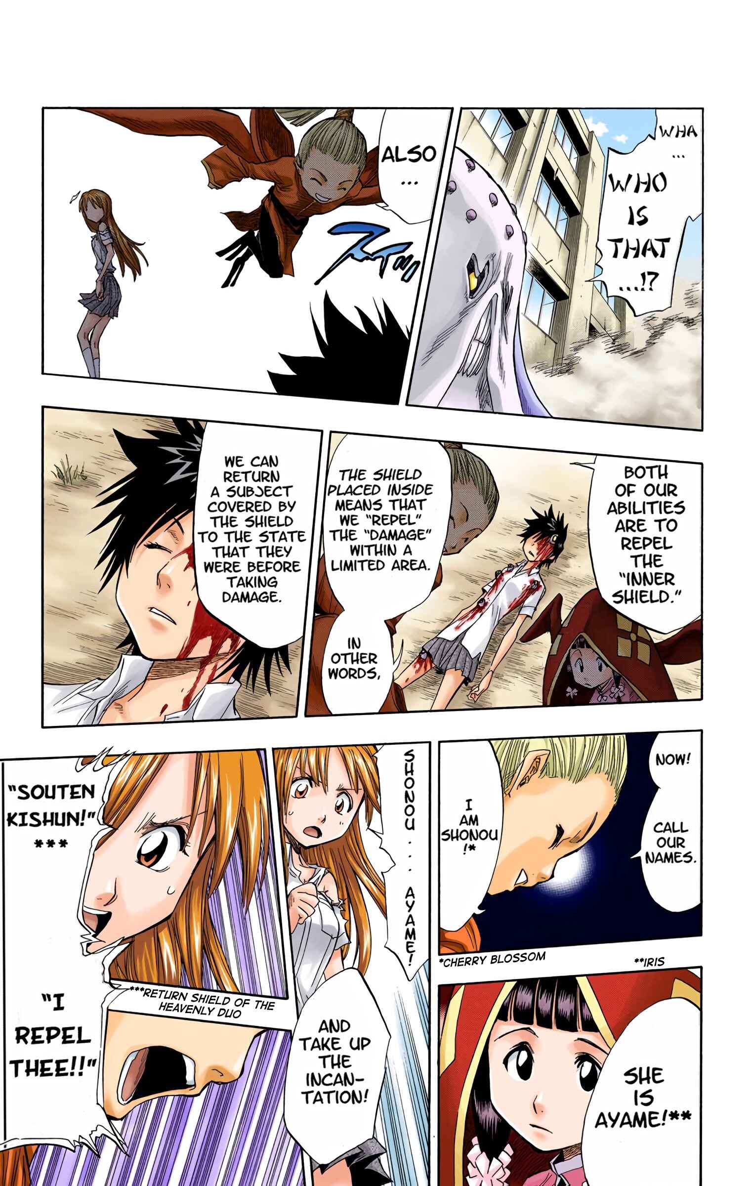 Page 13 Chapter 43 Bleach (Official Colored)