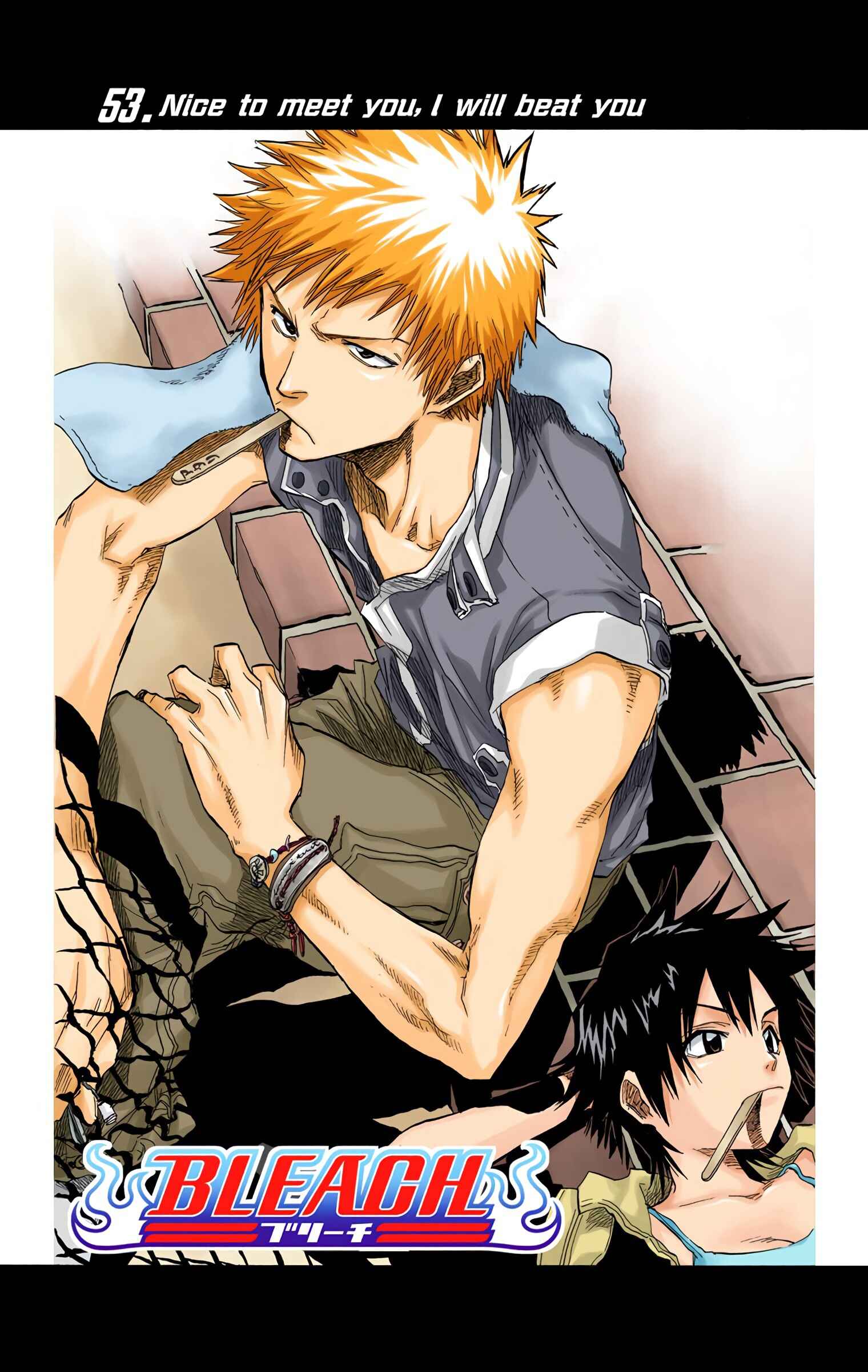 Page 10 Chapter 53 Bleach (Official Colored)