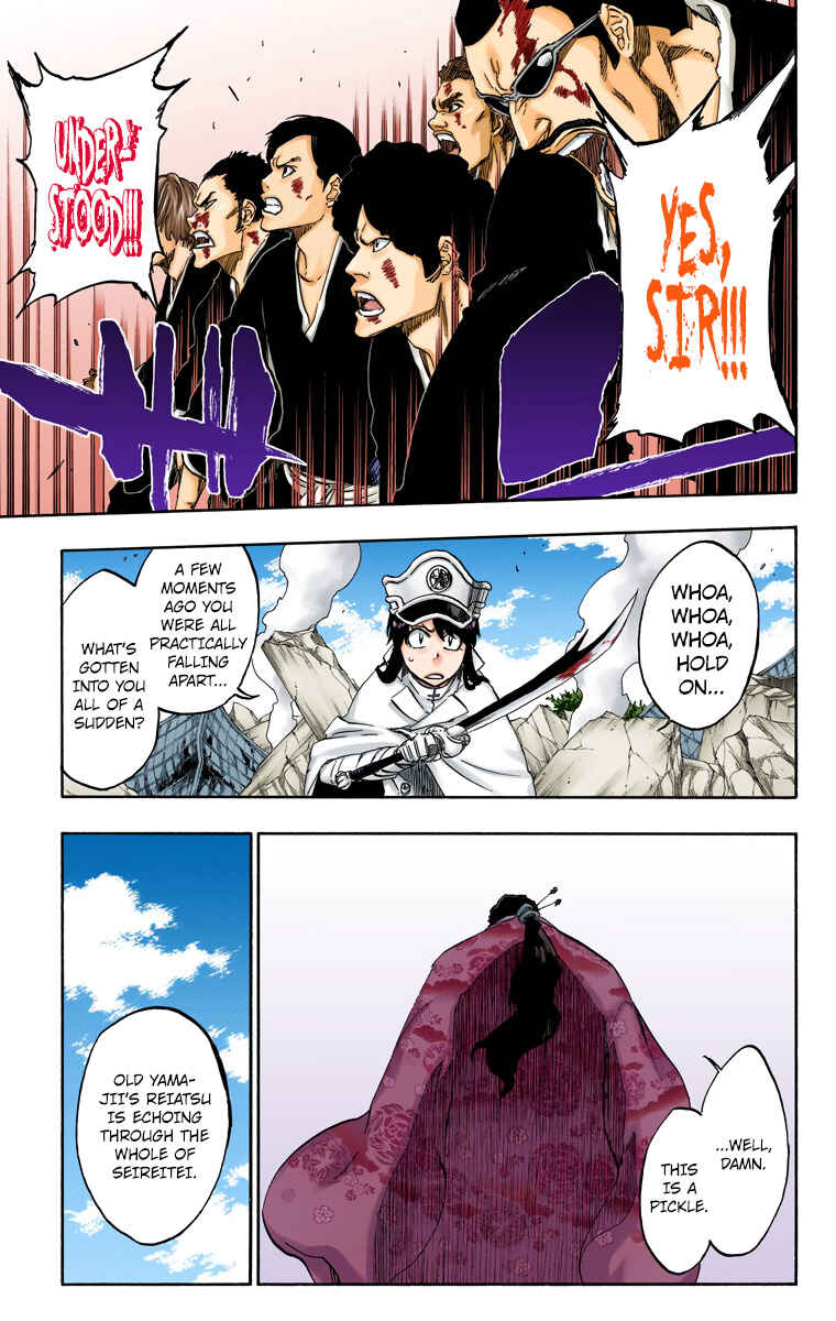 Page 13 Chapter 505 Bleach (Official Colored)