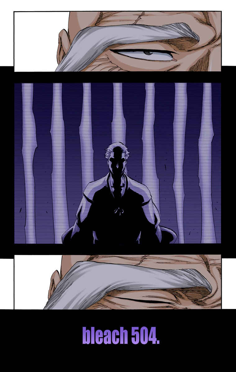 Page 4 Chapter 504 Bleach (Official Colored)