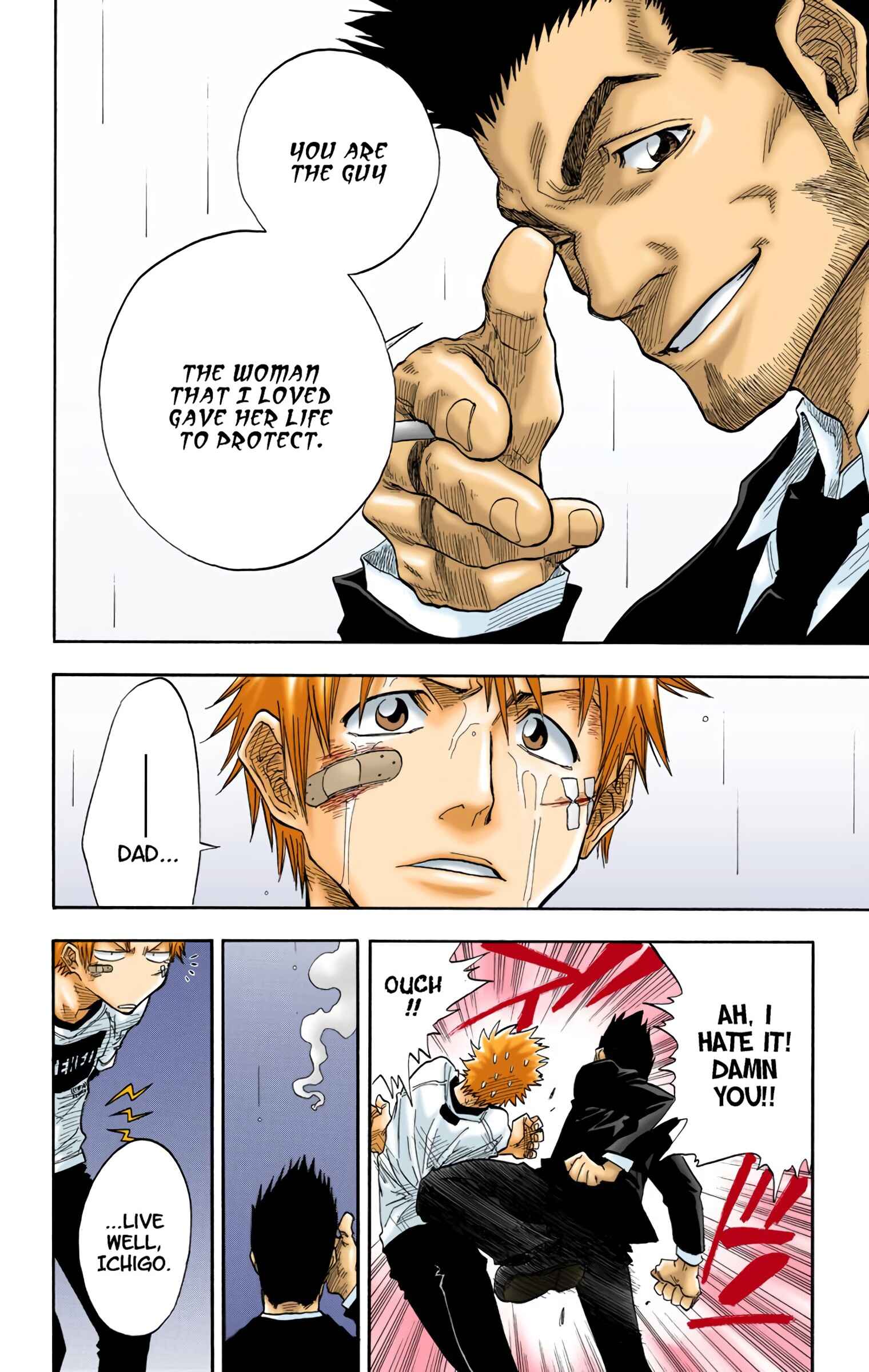 Page 13 Chapter 25 Bleach (Official Colored)