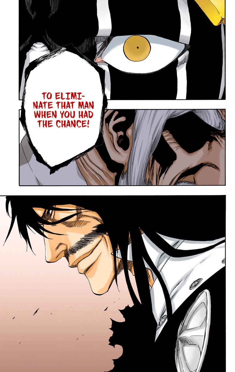 Page 19 Chapter 489 Bleach (Official Colored)