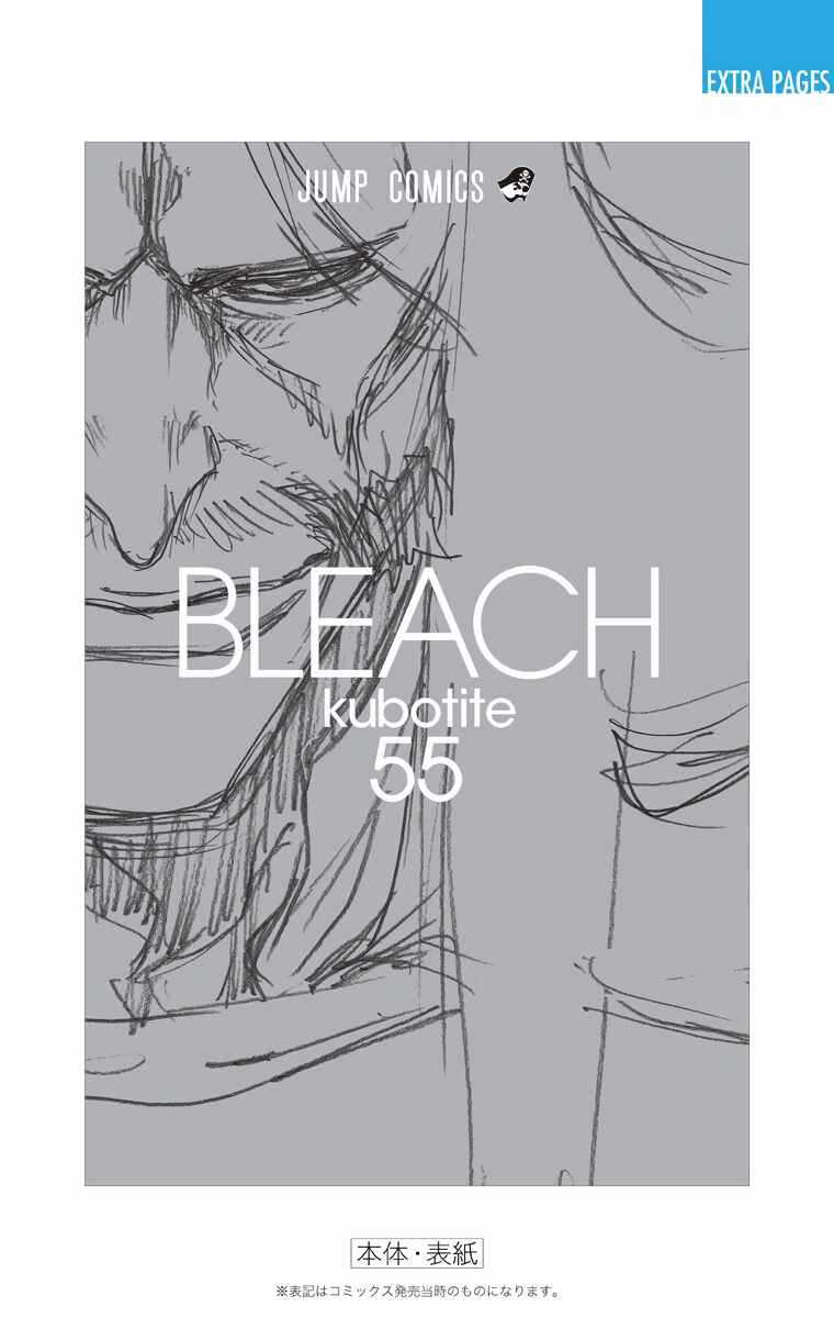 Page 22 Chapter 489 Bleach (Official Colored)