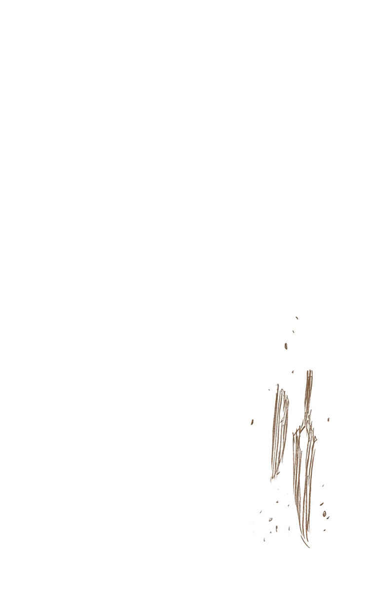 Page 17 Chapter 542 Bleach (Official Colored)