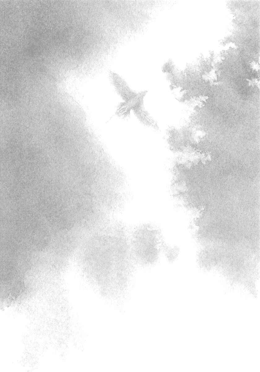 Page 31 Chapter 1.3 The Beast Player
