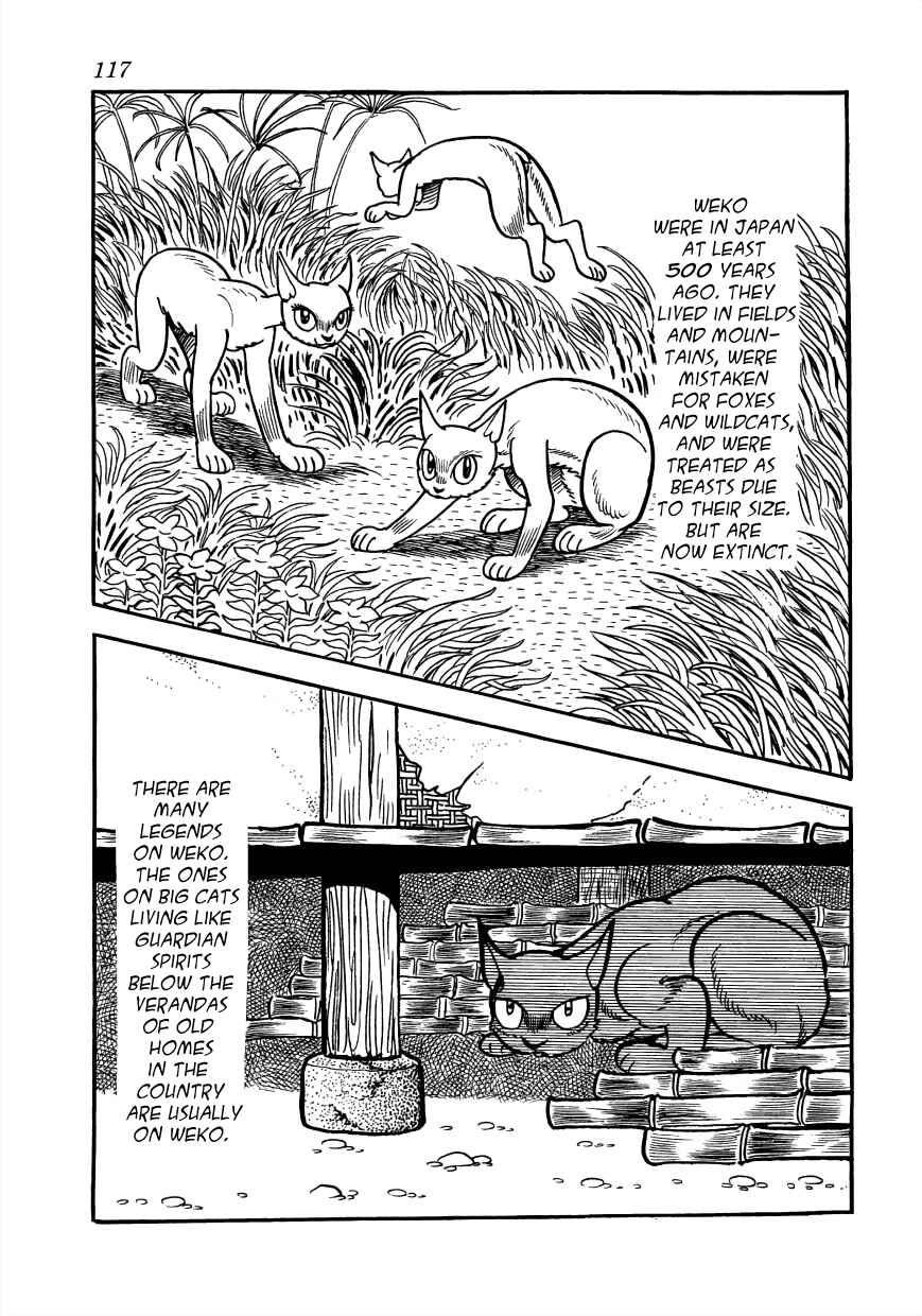 Page 35 Chapter 26 Vampires
