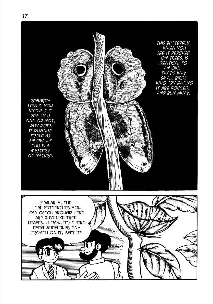 Page 21 Chapter 25 Vampires