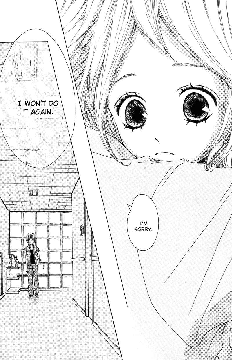 Page 13 Chapter 16 Sprout