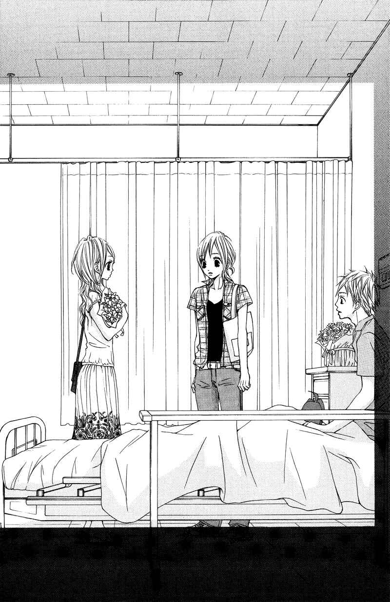 Page 41 Chapter 15 Sprout