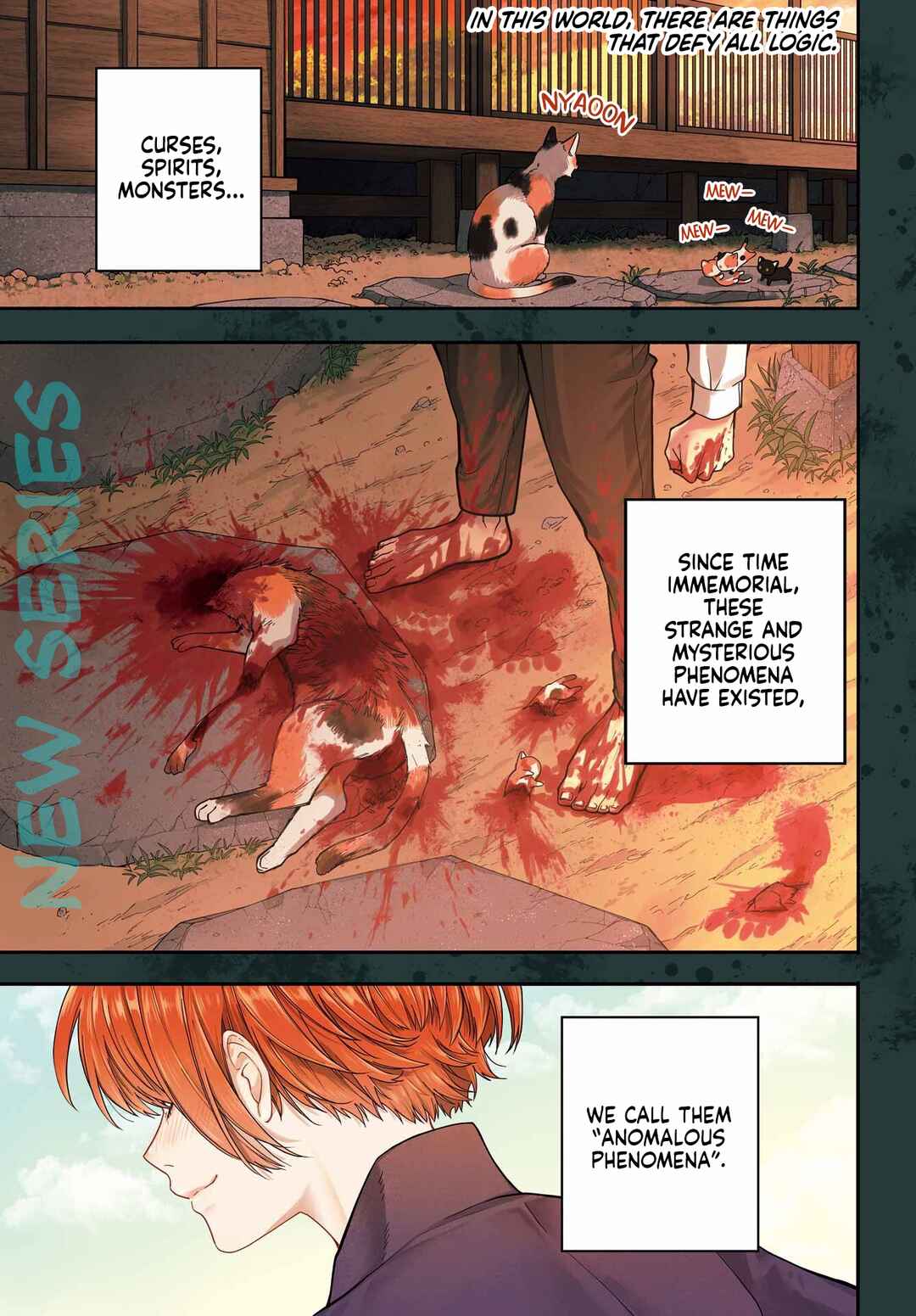 Page 3 Chapter 1 Adashino Kishokan
