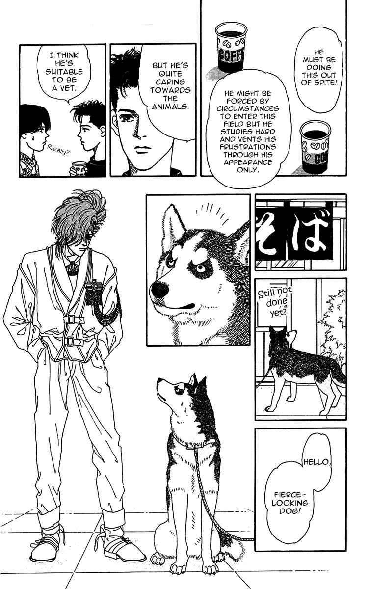 Page 8 Chapter 41 The Animal Doctor