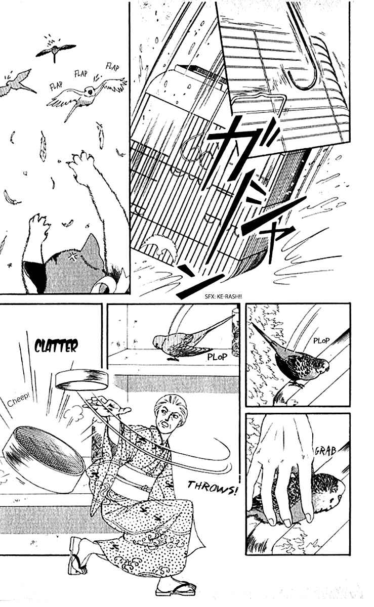 Page 17 Chapter 78 The Animal Doctor