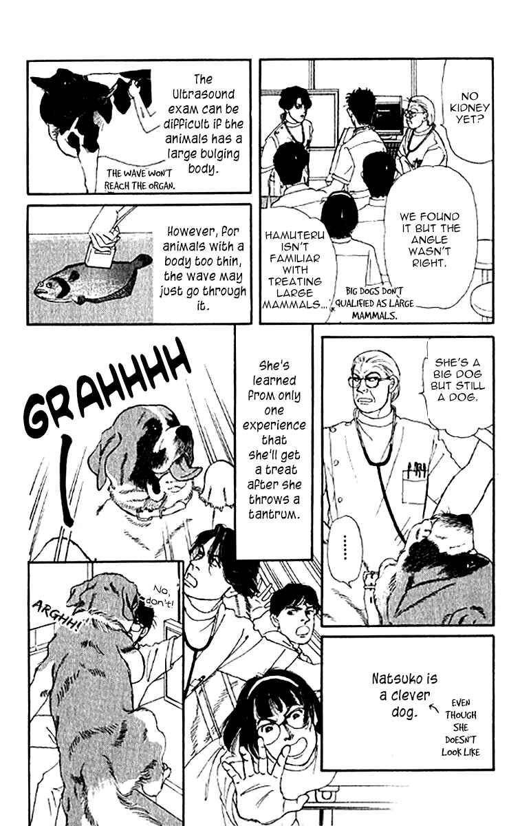 Page 12 Chapter 76 The Animal Doctor